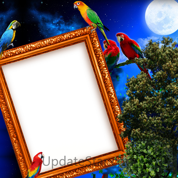 Parrot Insta DP 5.2