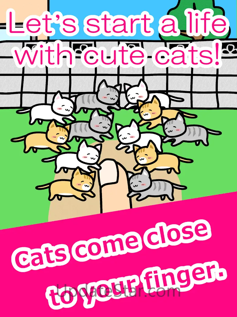 Play with Cats 3.0.3