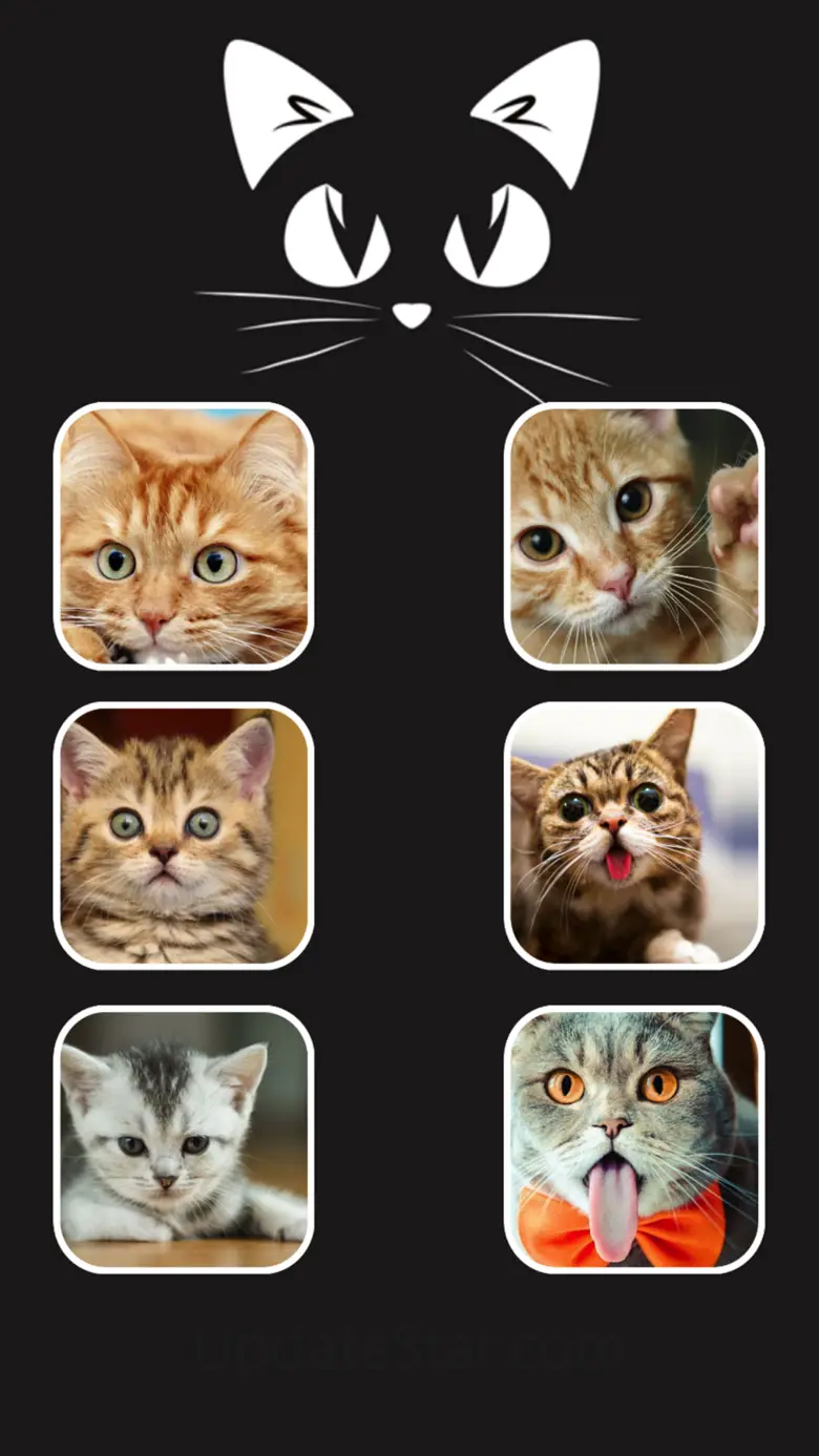 Call Cat 2 2.0