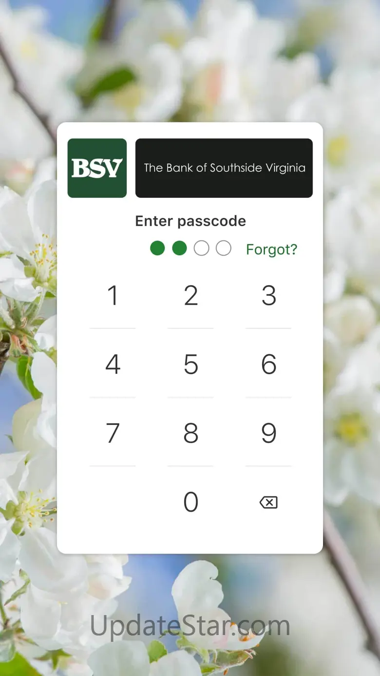 BSV Mobile 3.13.1