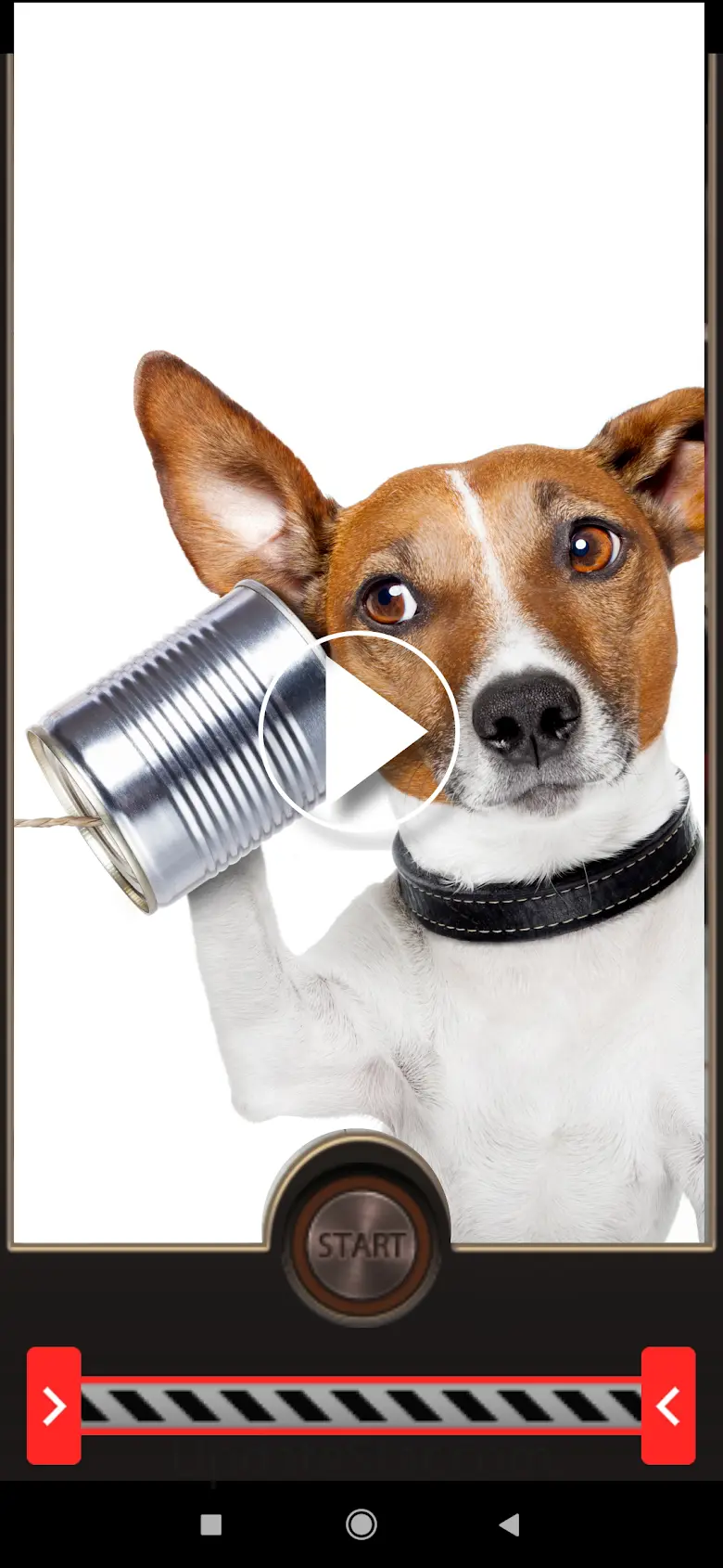 Video Voice Changer FX 1.19