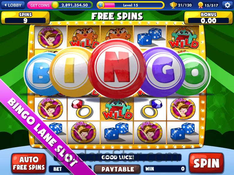 Bingo Lane HD 2.2.5