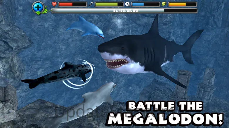 Dolphin Simulator 1.1