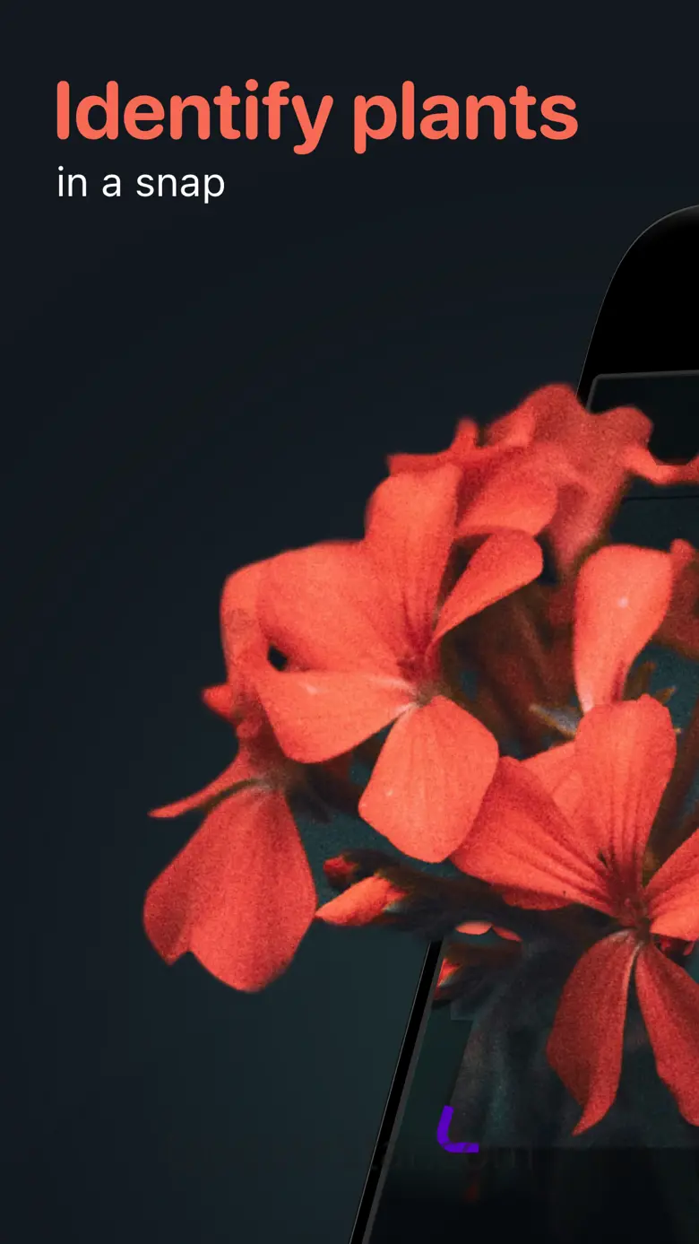 Plant Identifier: Snap scanner 0.3.9
