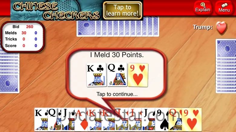 Pinochle Lite 1.6.1