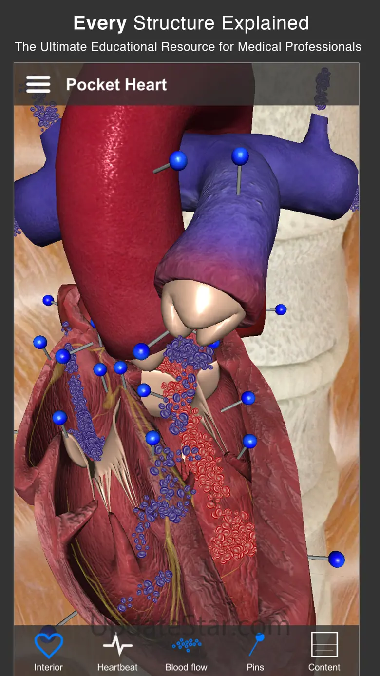 Pocket Heart 4.0
