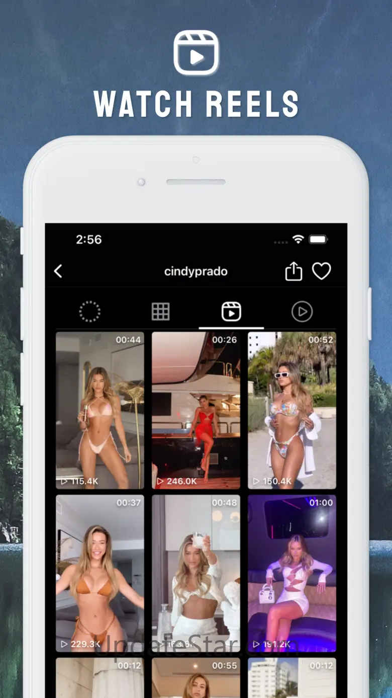 Profile Story Viewer by Poze 5.10