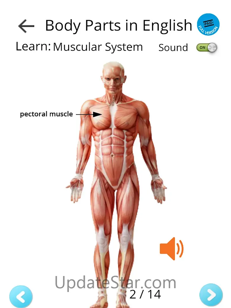 Learn Body Parts in English 5.13