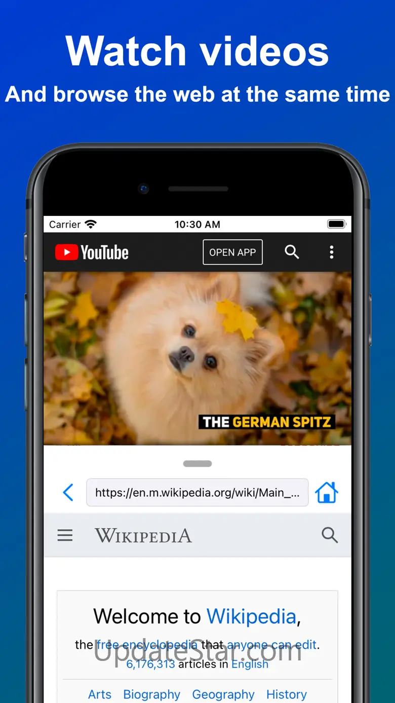 Split View Multitasking Screen 1.1.224