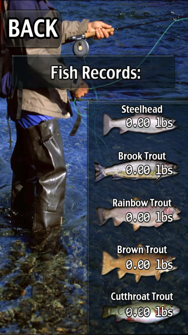 i Fishing Fly Fishing Lite 2.3