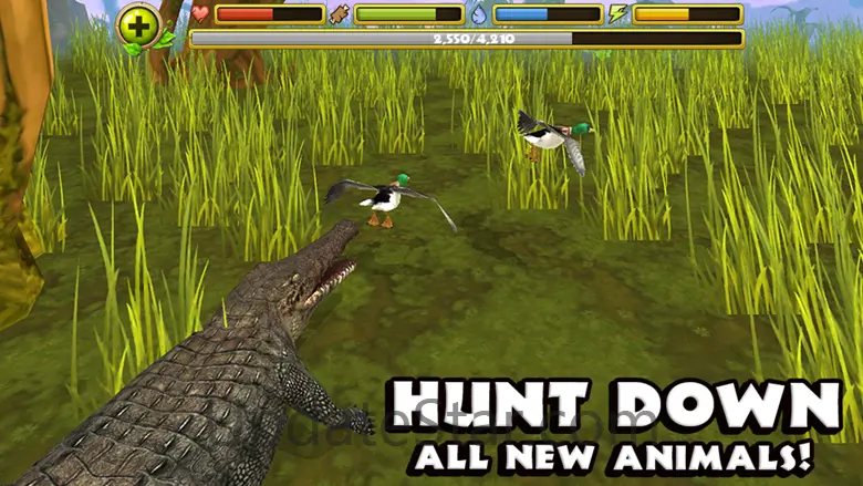 Wildlife Simulator: Crocodile 1.1