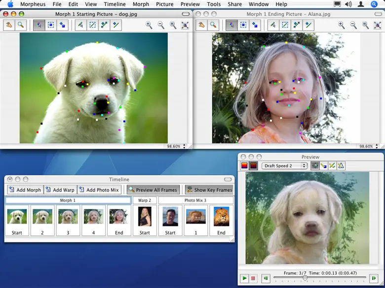 Morpheus Photo Animation Suite 3.17