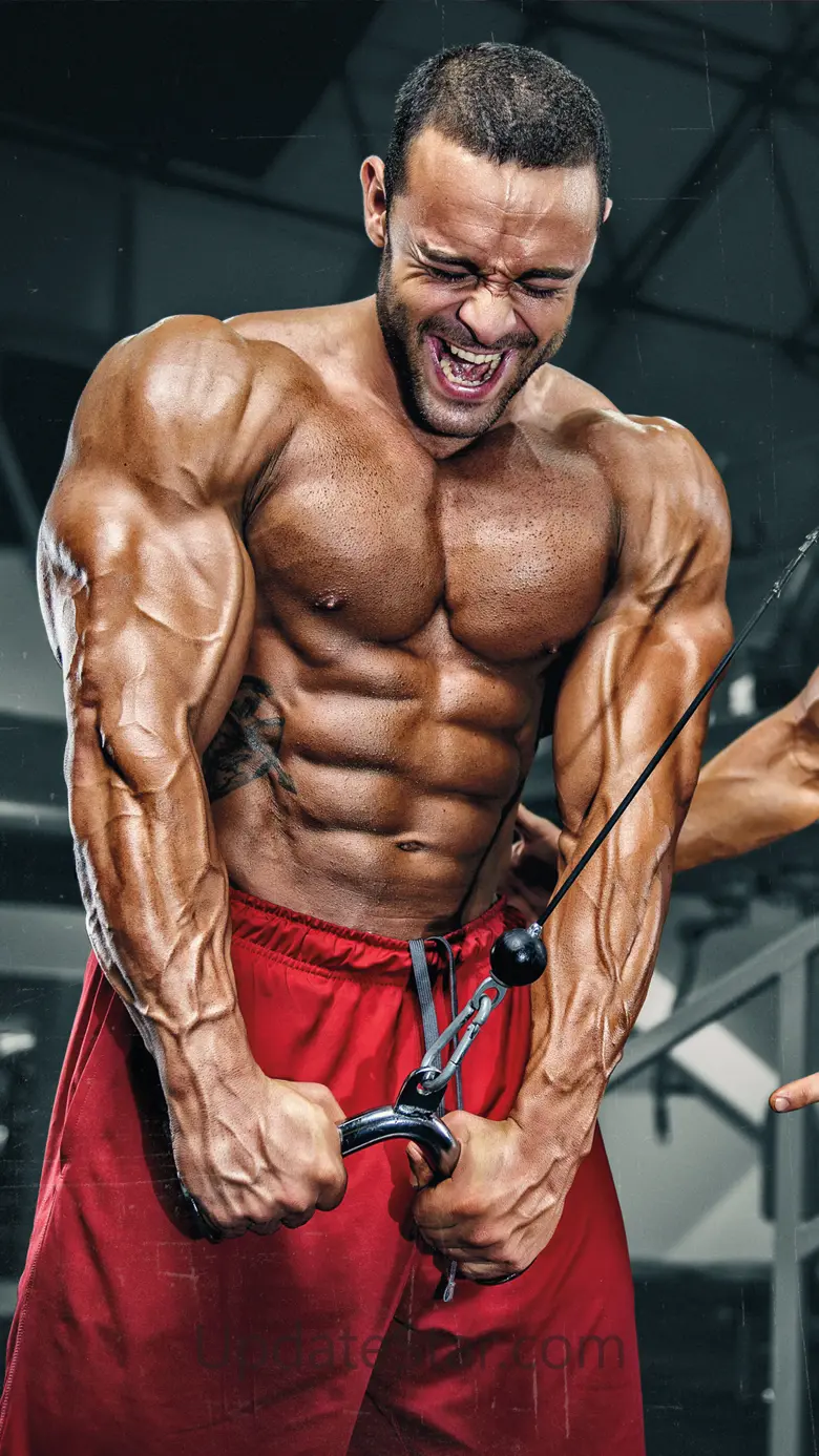 Muscle & Fitness 19.0