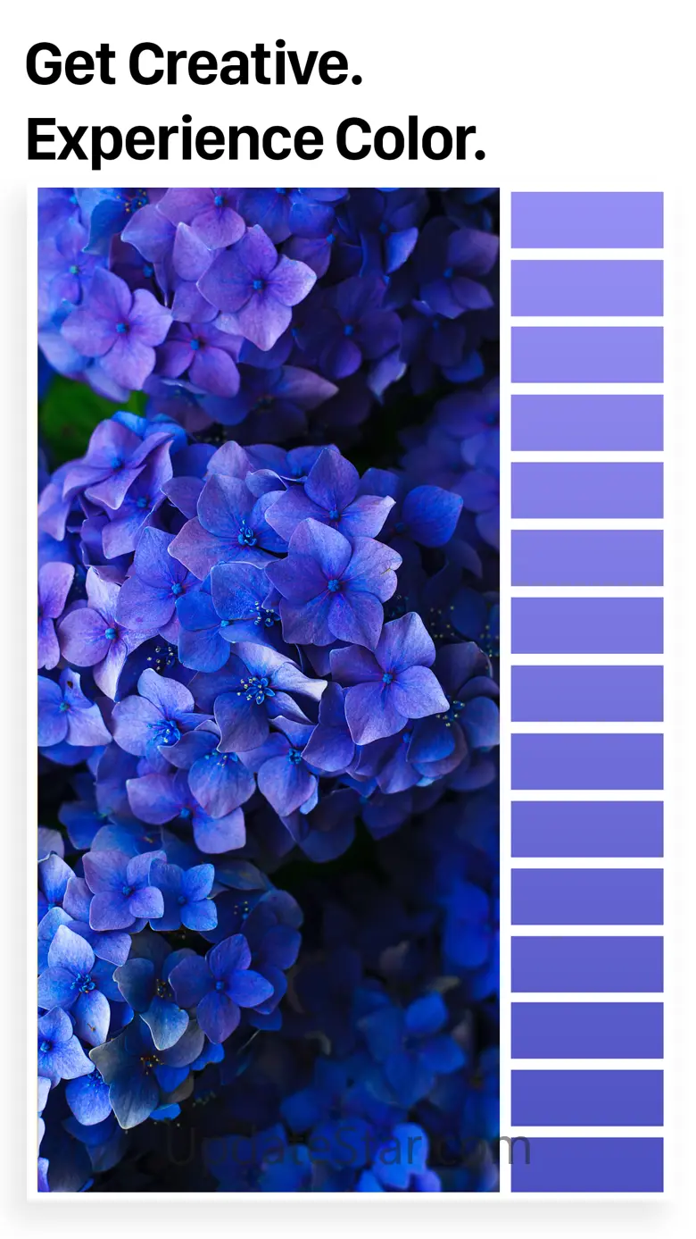 Palette Republic 6.2