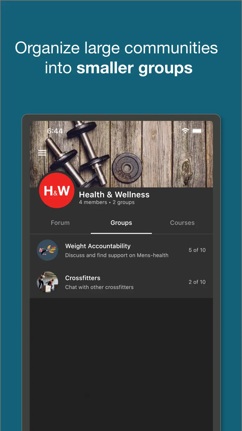 Framework: Group Programs 3.1.123