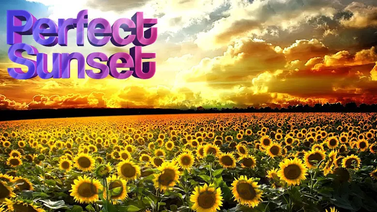 Perfect Sunset Live Wallpaper 5.0