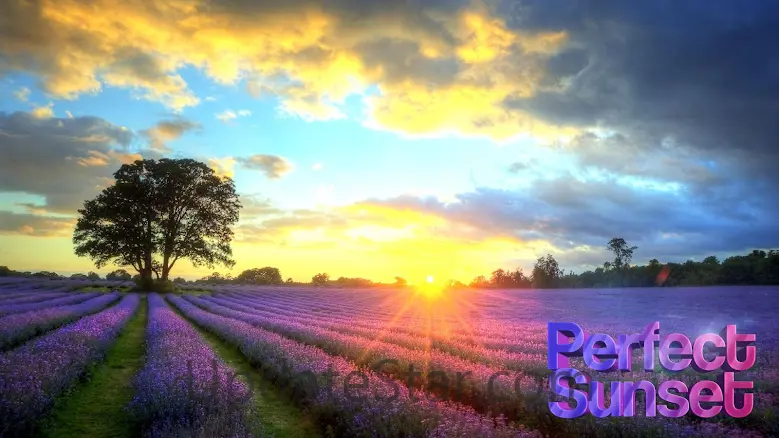 Perfect Sunset Live Wallpaper 5.0