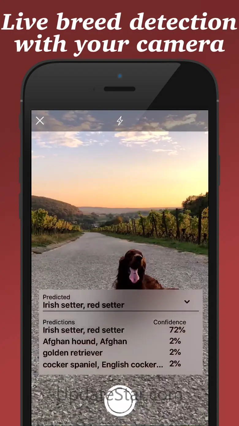 Dog Breed Scanner 1.3