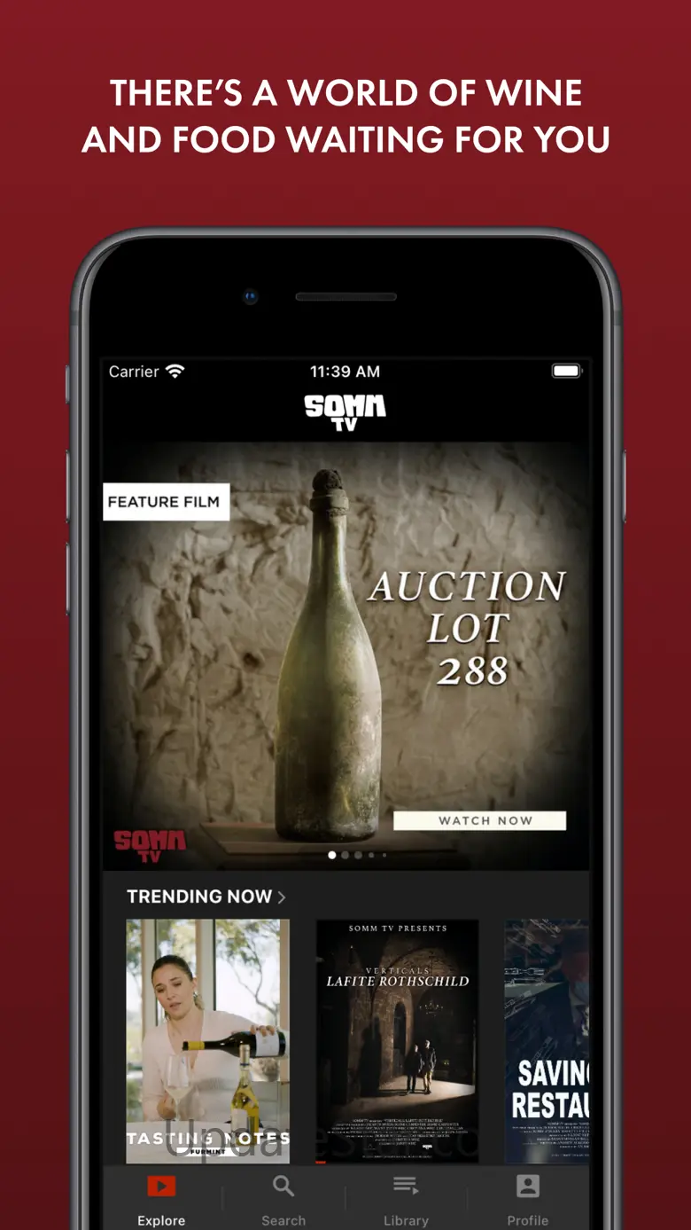 SOMM TV 8.801.1