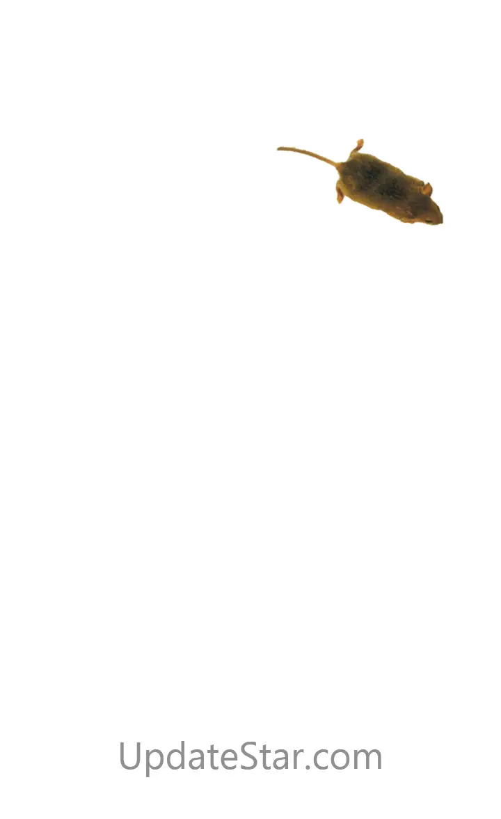 Mouse simulator: game for cat 2.26