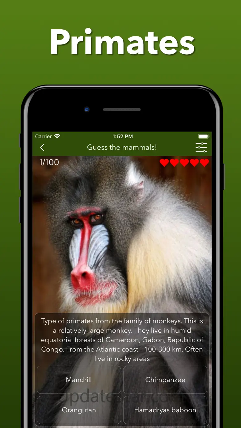 Animals Kingdom: Zoo Wild Quiz 3