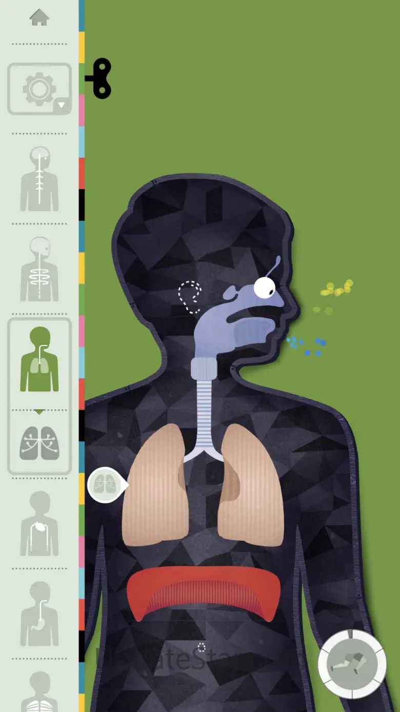 The Human Body by Tinybop 3.6.3