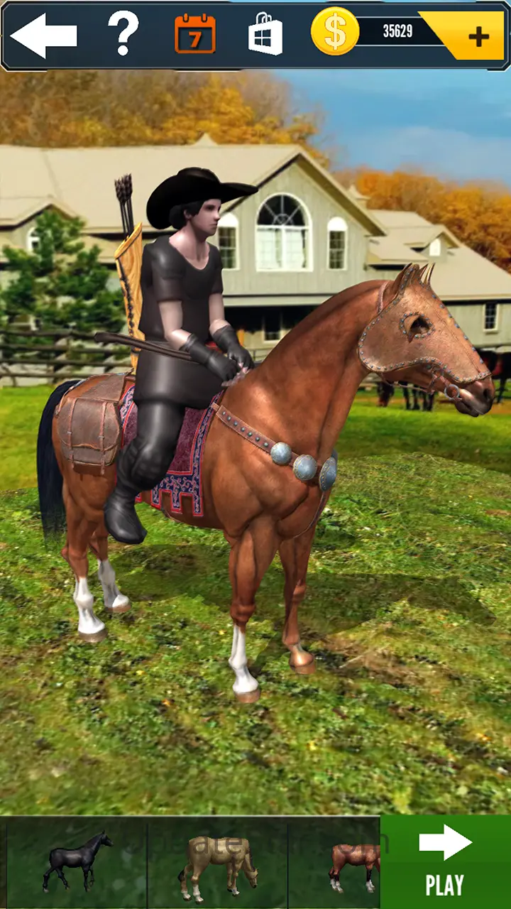 Cowboy Horse Run 10