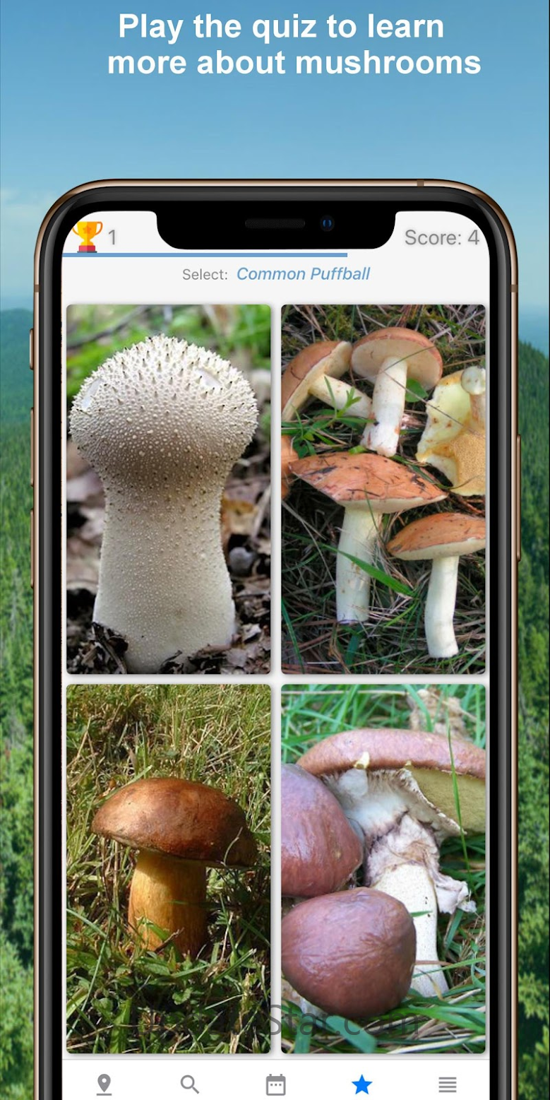 Mushroom Identify - Automatic  2.99