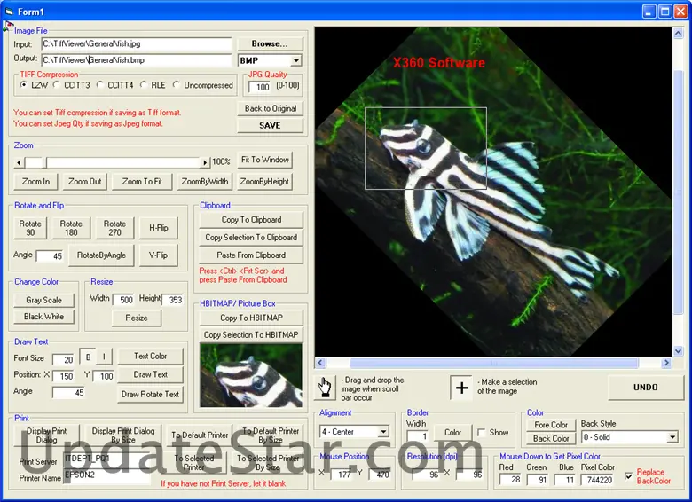 Tiff Image Viewer ActiveX Control 5.23