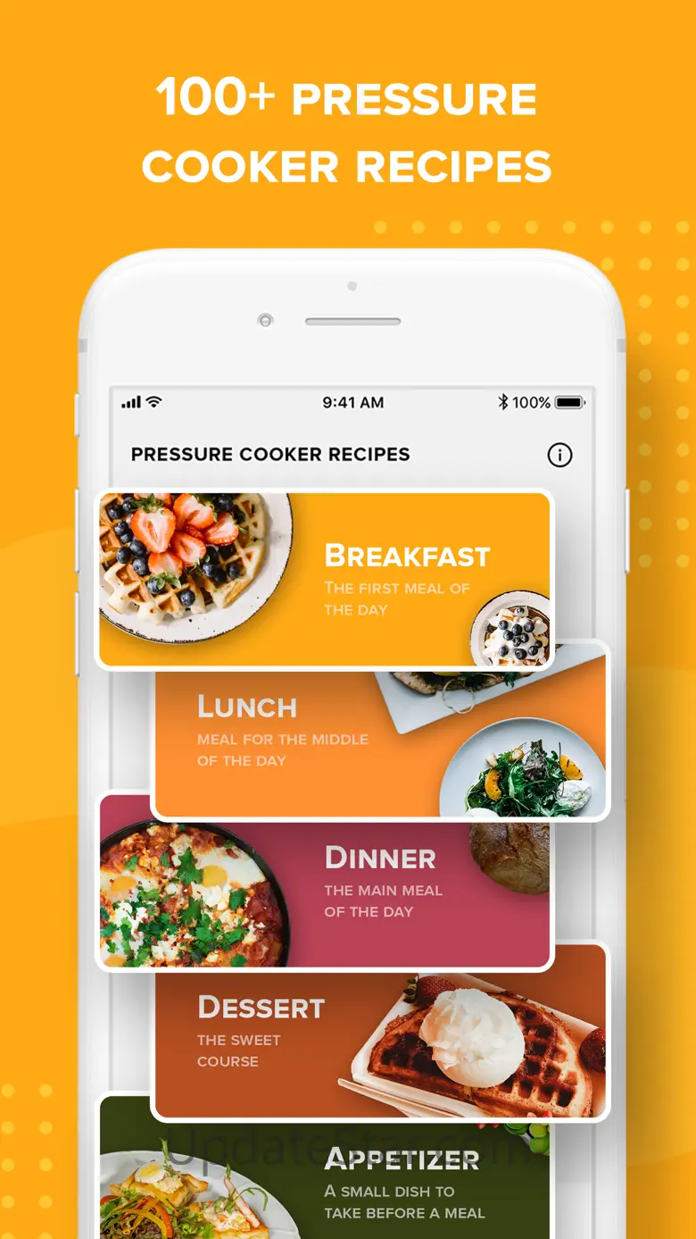 Insta Pressure Cooker Recipes 1.1