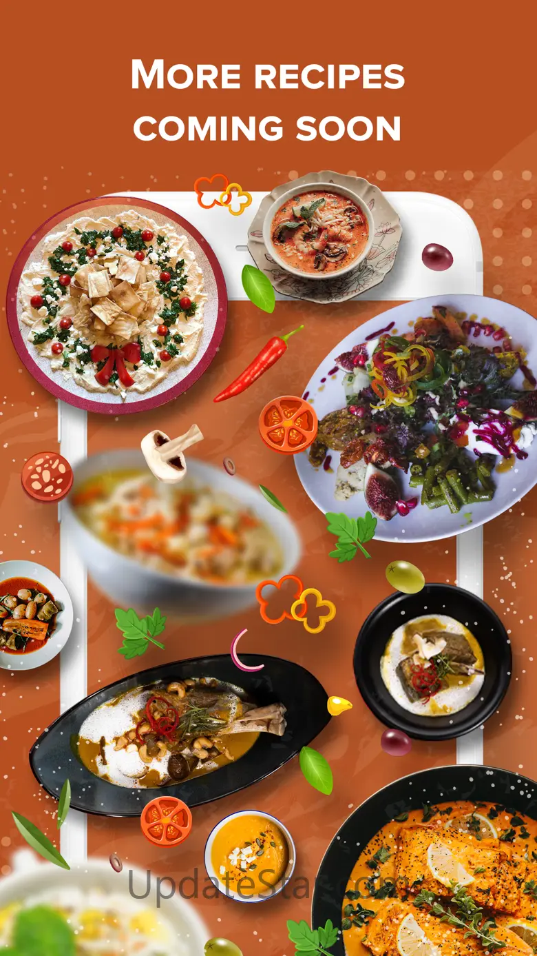 Insta Pressure Cooker Recipes 1.1