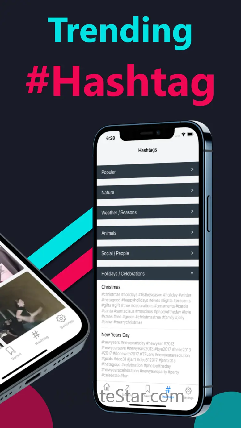 SnapTik + Tik Video Saver 1.3