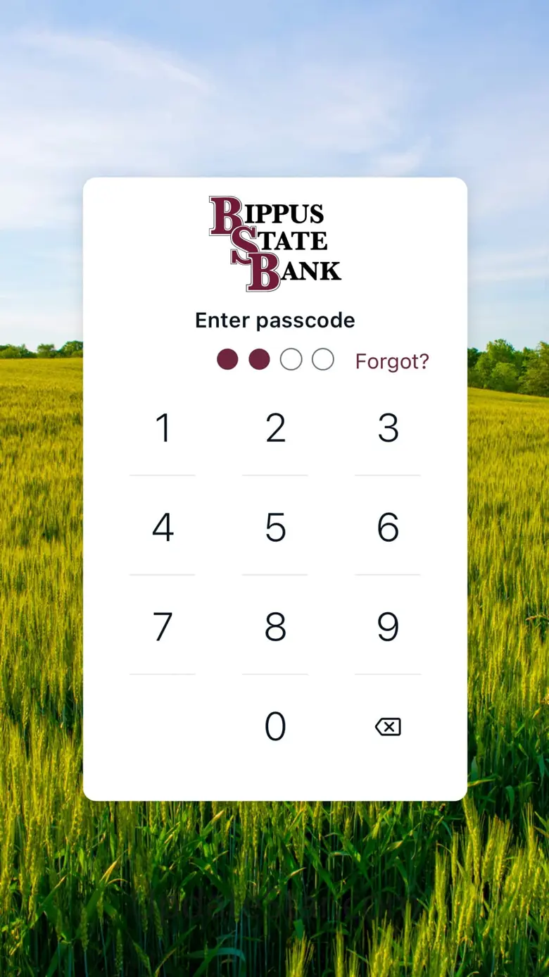 Bippus State Bank 3.13.0