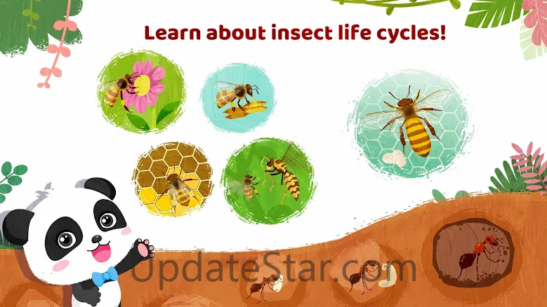 Little Panda's Insect World 8.67.00.00