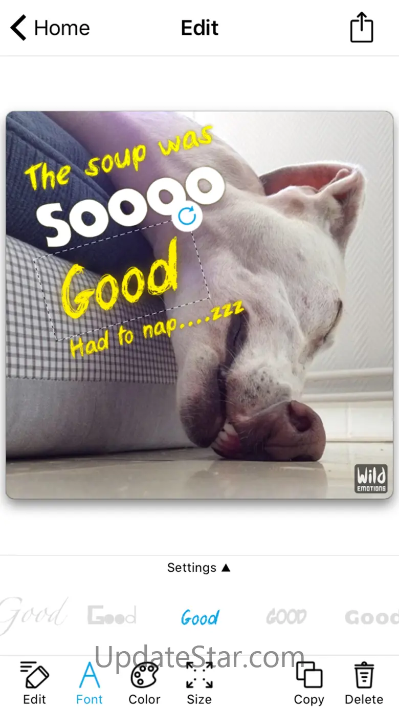 WildEmotions: add text to photos with animal cards 1.2