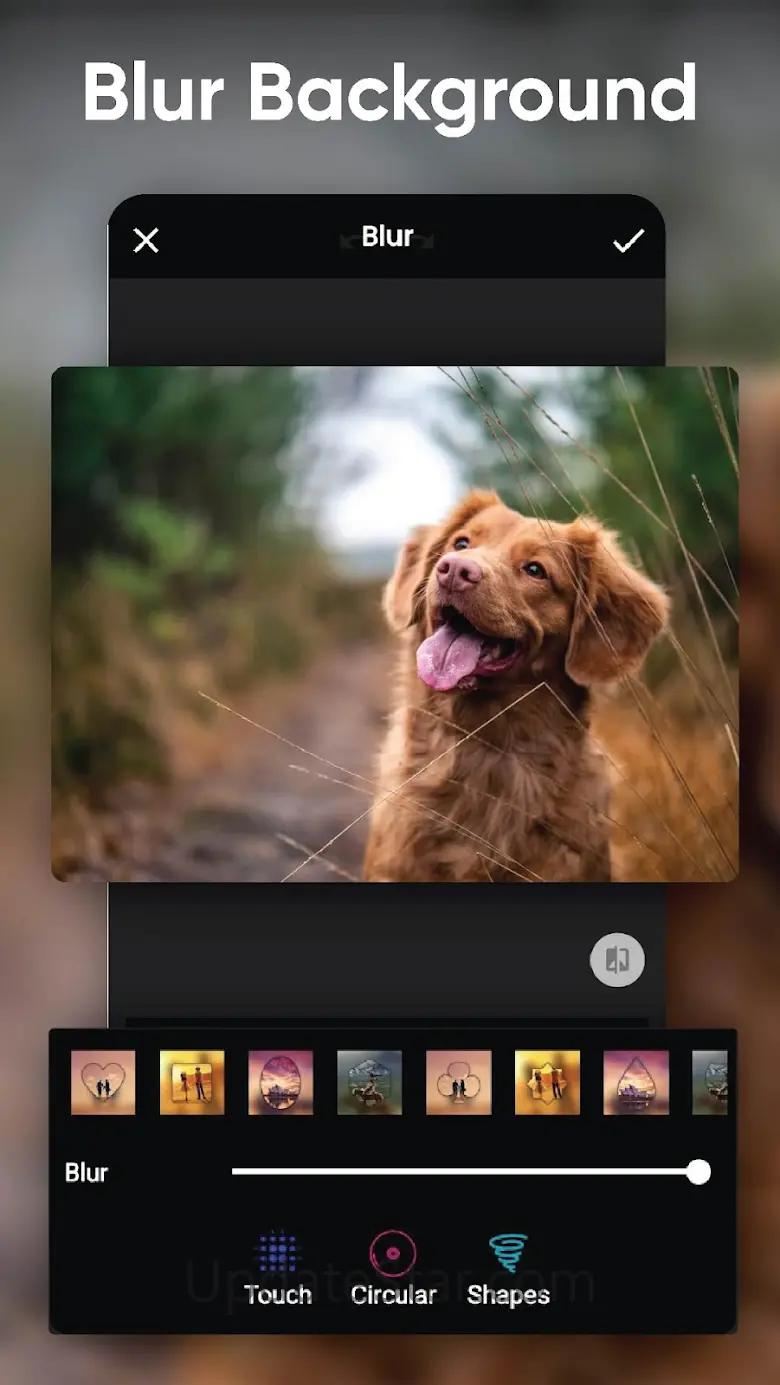 12Camera Selfie Beauty Camera 1.8.5