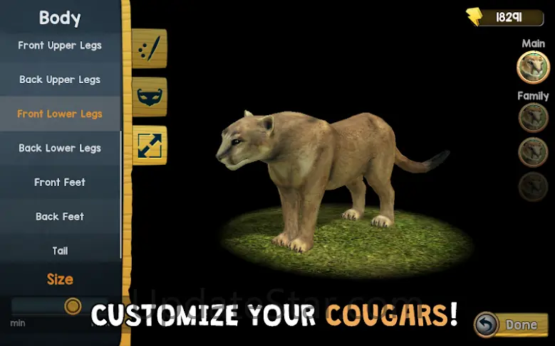 Wild Cougar Sim 3D 205