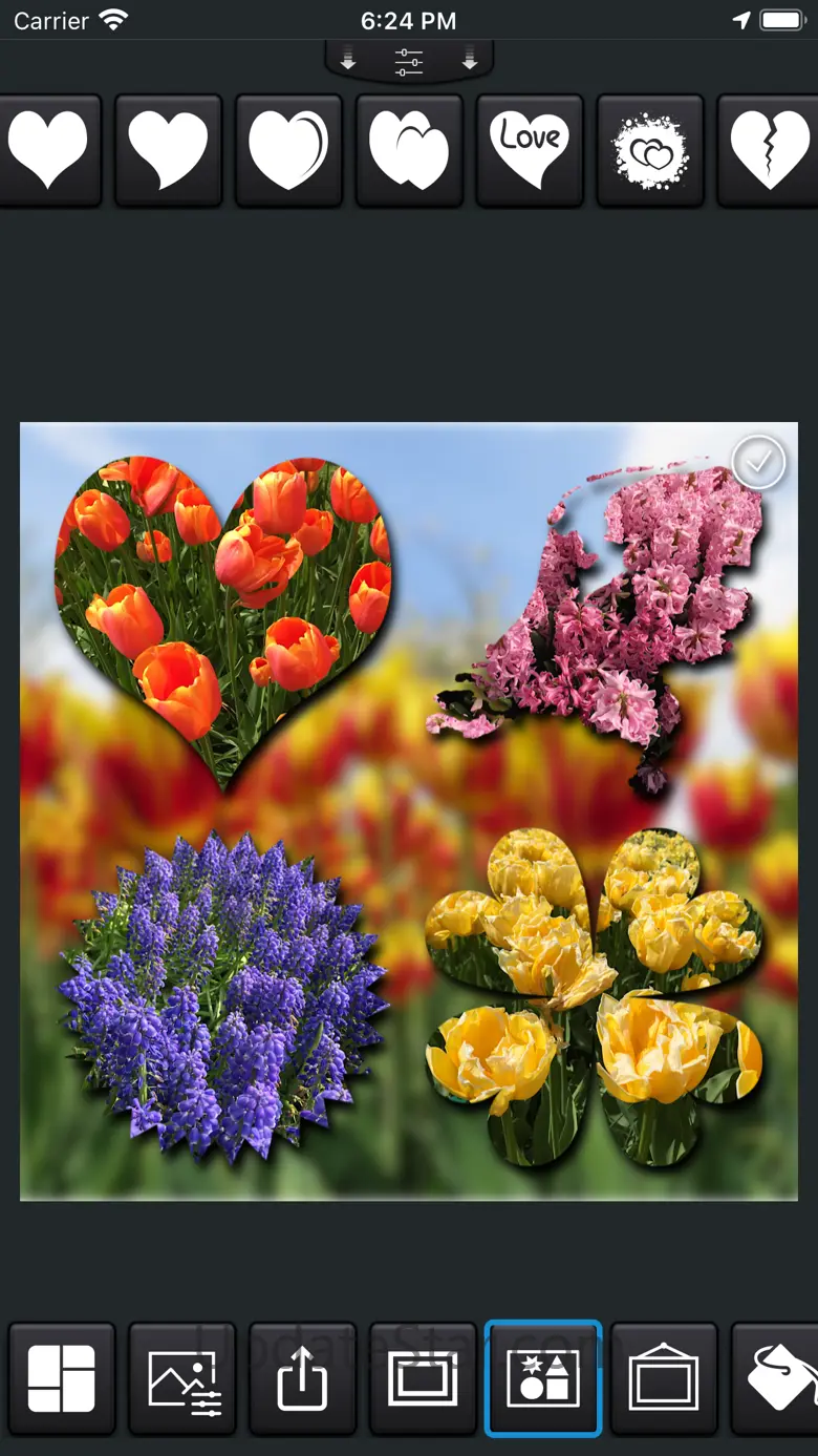PhotoPhix 3.01