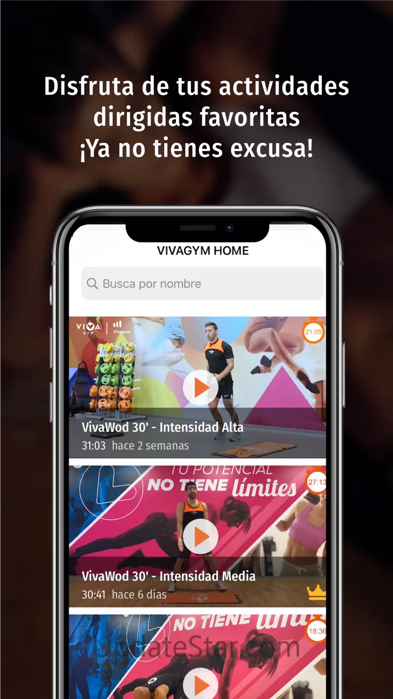 VivaGym Online 1.8.1