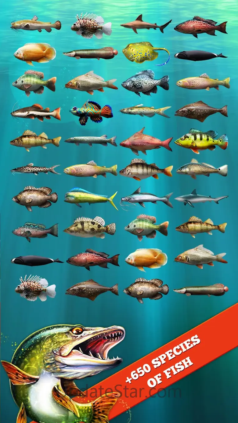 Let's Fish: Fishing Simulator 6.5.3