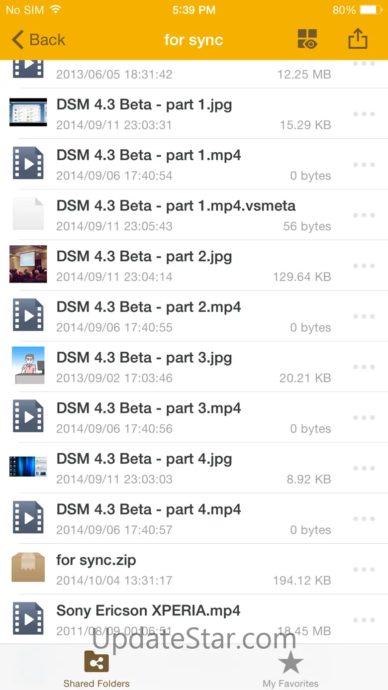 DS file 4.17.1