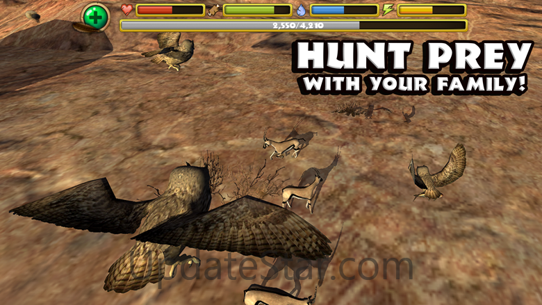 Owl Simulator 1.2