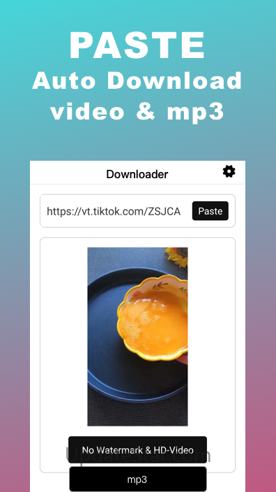 Snaptik -Download Video Tiktok 2.9.0