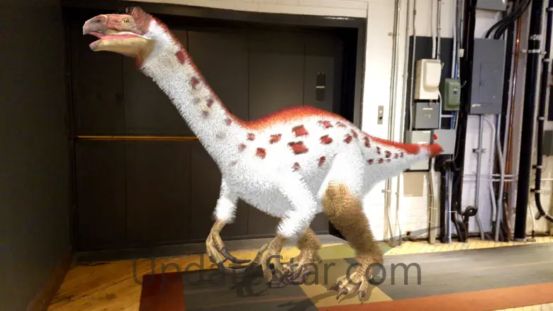 Dino Dan: Dino Cam 5.0.1