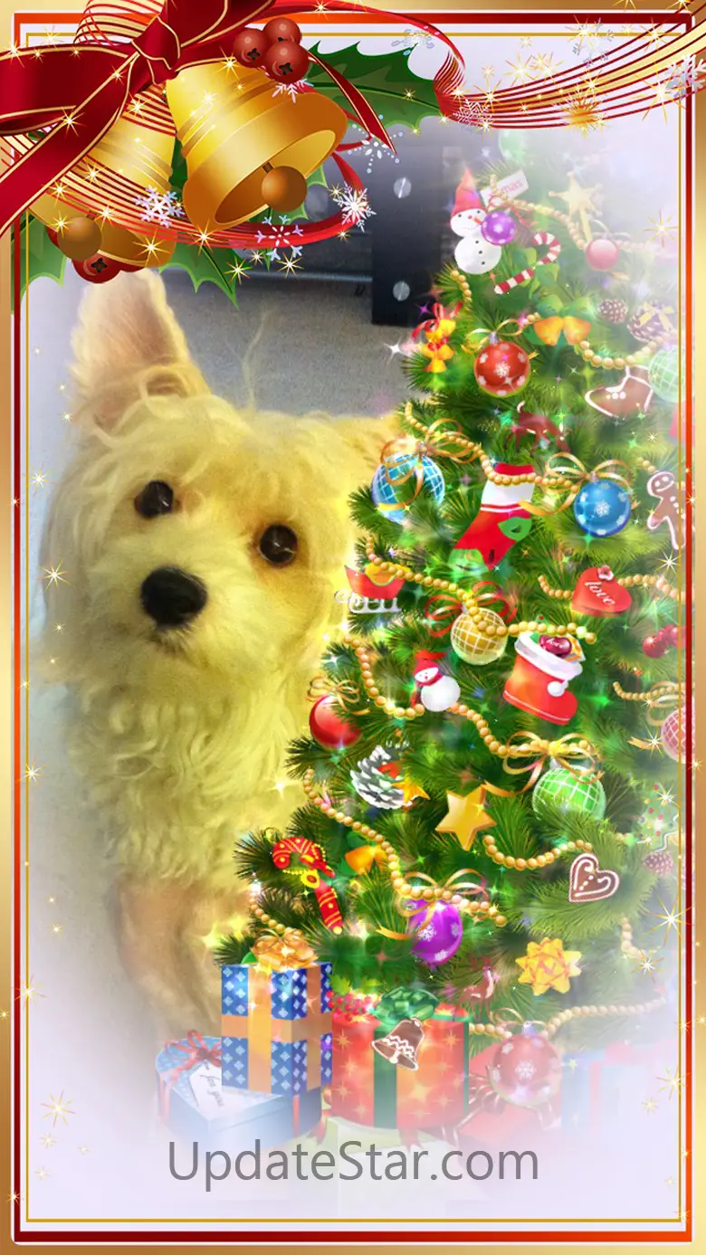 Christmas Tree ™ 3.0.3