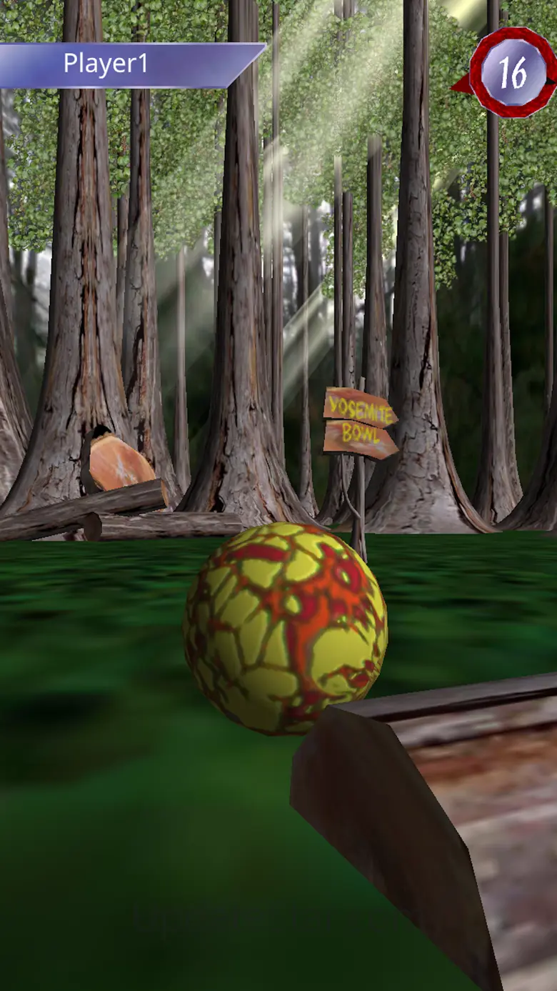 Hyperbowl