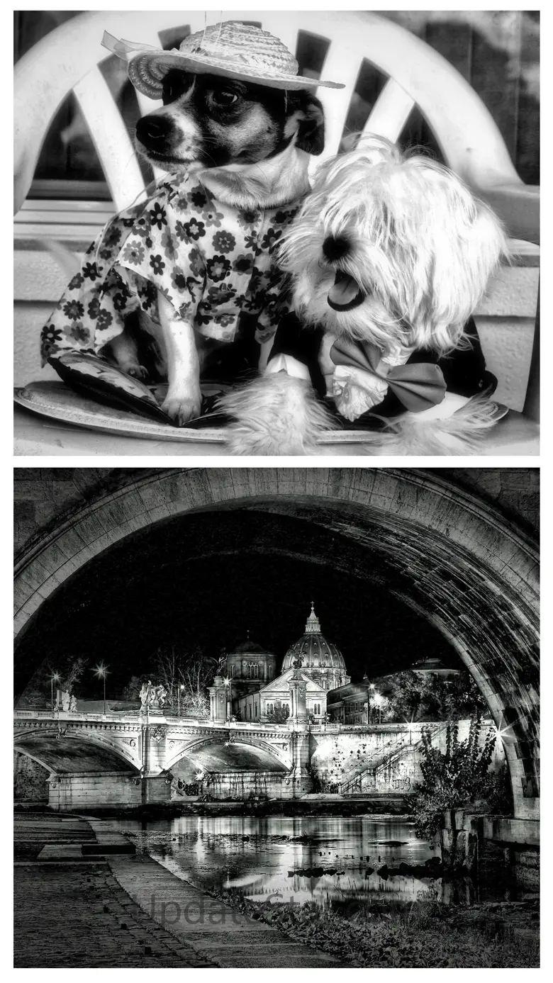 Dramatic Black & White 2.60