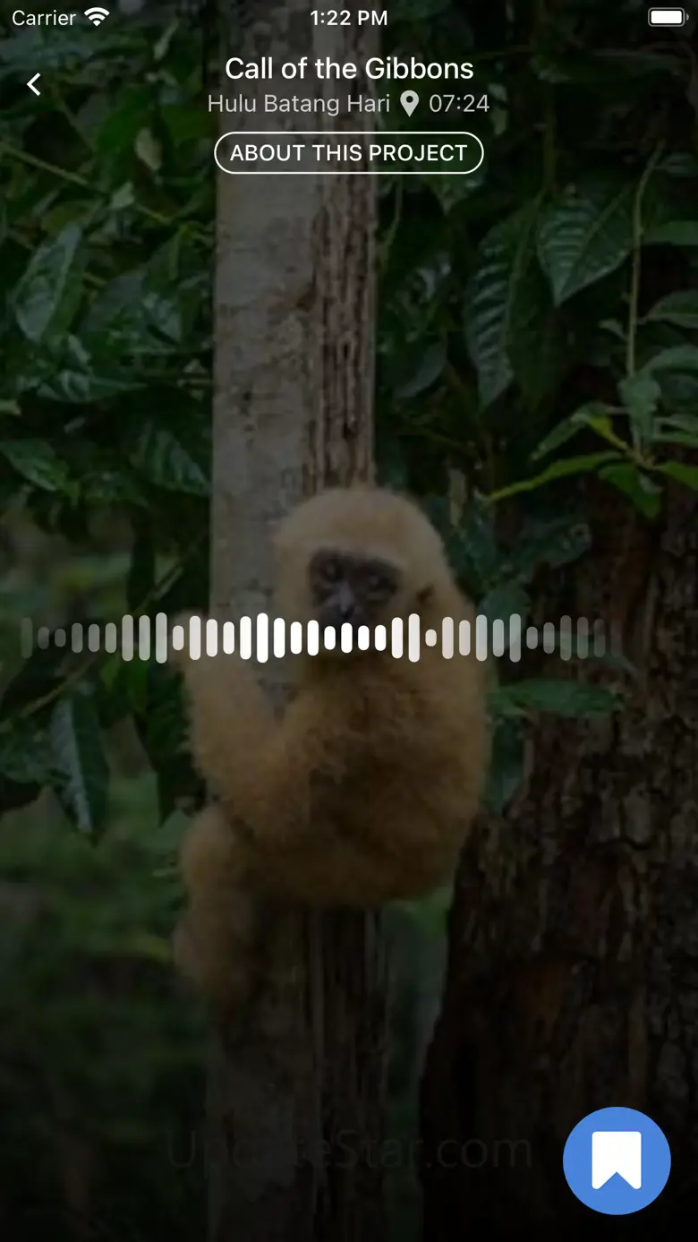 Rainforest Connection 2.4.2