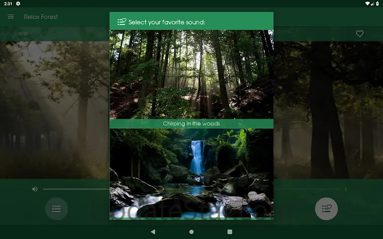 Relax Forest: sleeping sounds 5.15.3