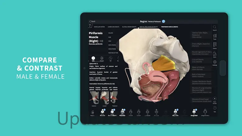 Complete Anatomy 2023 9.7.0